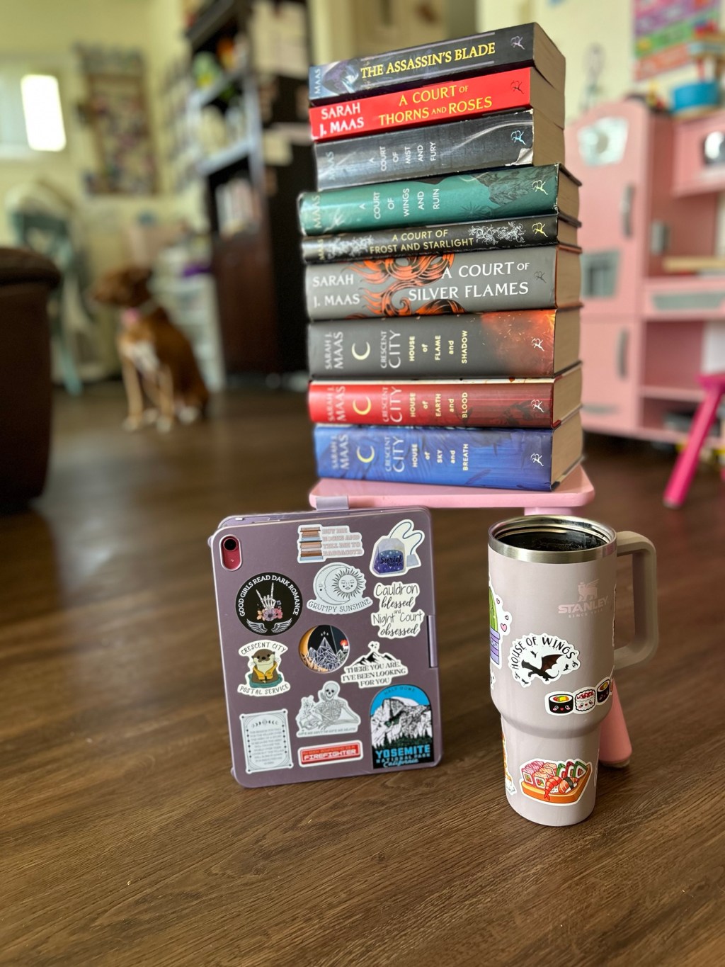 “Why the Whole World Should Try One Sarah J Maas Series All the Way to the&nbsp;End”